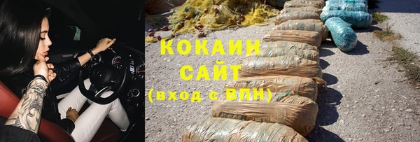 винт Абаза