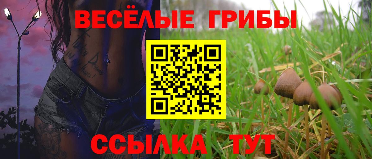 Галлюциногенные грибы мухоморы  Вход с VPN  Полевской 